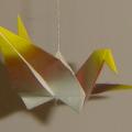 Around 1998 I rented out a room to international students. Some French chick moved out very soon after she moved in. Then came a girl from Italy . She gave me this paper bird when she left. I have forgotten her name. I remember filling out her taxes after she left. She was pretty cool. I think she was from Padova.