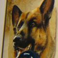 I'm not a huge fan of dogs. I have no problem with them, but they drool and sometimes smell just a little too much. This postcard was sent to me by a big dog fan, Wim. He was my pen-pal when I was young and we used to send eachother tapes with our latest discoveries all the time. Now there is internet and this cool way of corresponding is over...